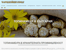 Tablet Screenshot of charodeizi-topinambur.com